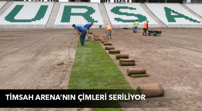 Timsah Arena'nın çimleri seriliyor