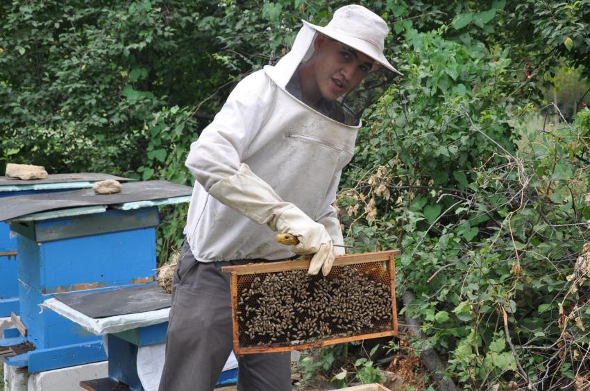 İnternetten öğrendi, bal üretimine başladı