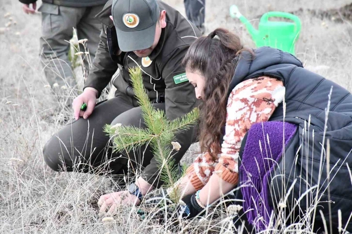 Ardahan’da ’Deprem Şehitleri Hatıra Ormanı’ oluşturuldu
