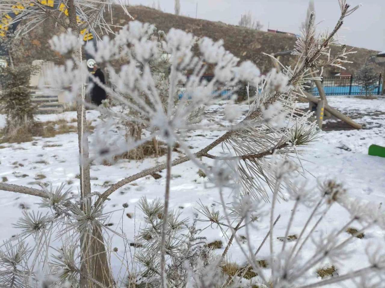 Ardahan’da Sibirya soğukları
