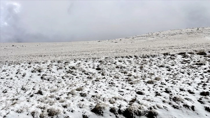 Ardahan'ın yüksek kesimlerinde kar etkili oldu