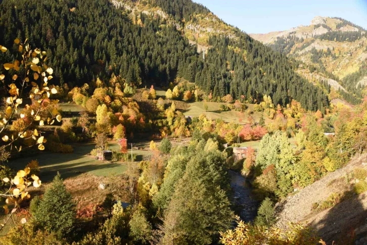 Artvin Şavşat’ta sonbahar renkleri havadan görüntülendi
