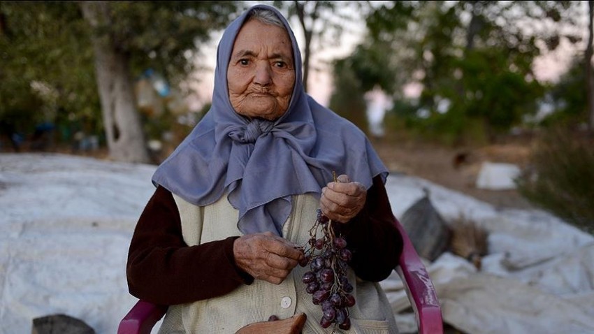 Asırlık çınardan sağlıklı yaşam sırrı