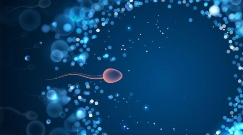 Koronavirüs sperm sayısı ve kalitesini düşürüyor