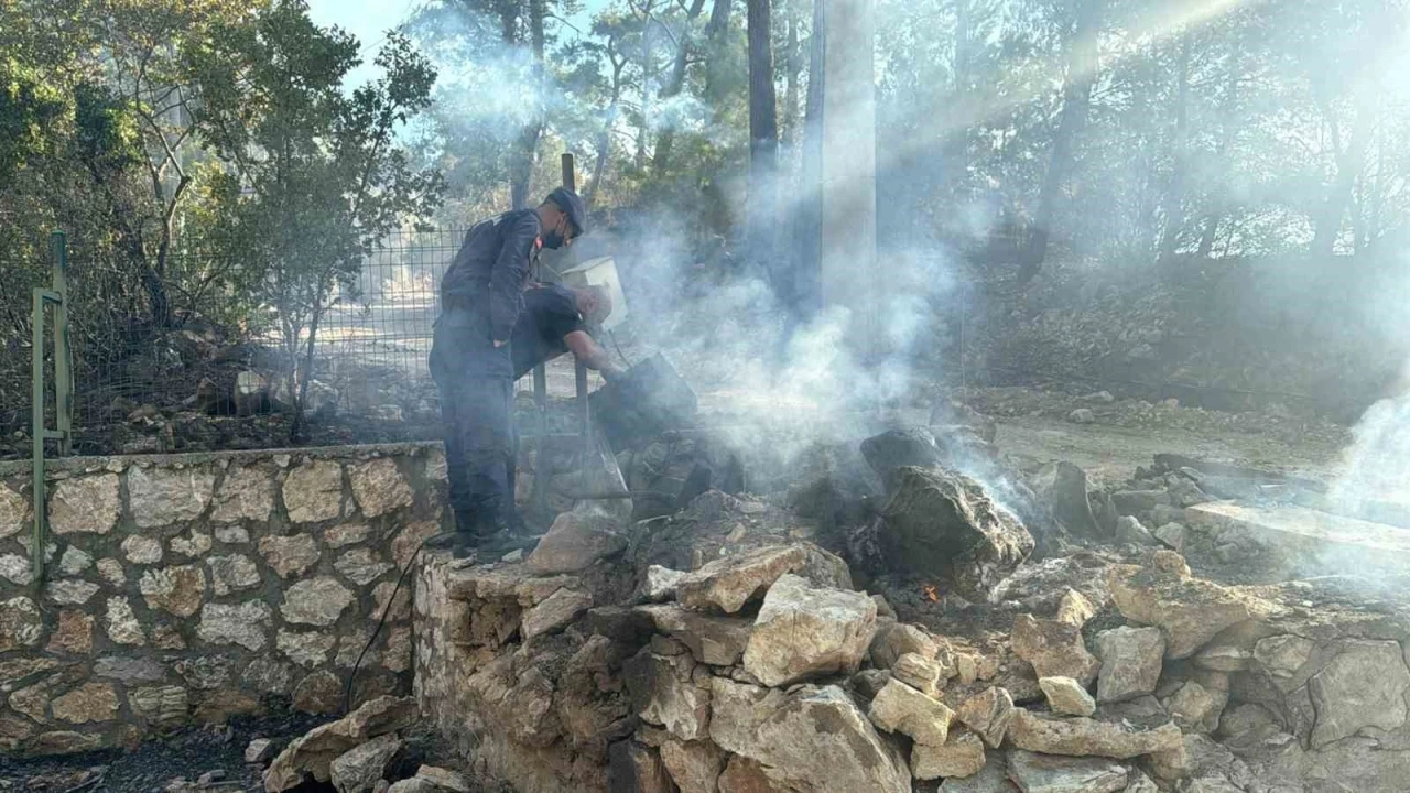 Asker ve itfaiye sahaya indi, yangının çıkış noktası ve sebebi araştırılıyor
