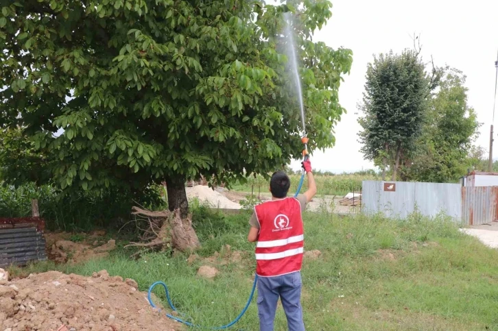 Asya Kaplanı türüne dikkat
