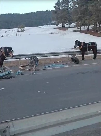 At arabasıyla otomobil çarpıştı: 3 yaralı
