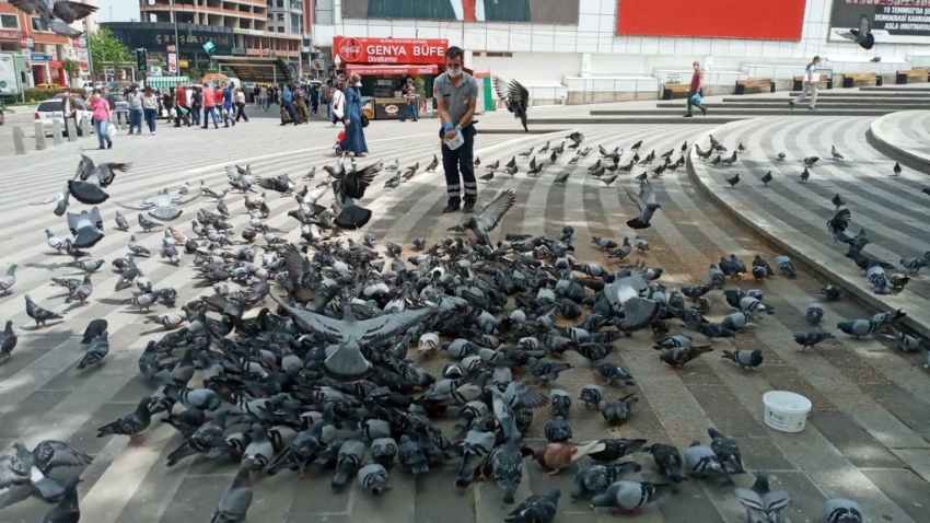 Osmangazi’de sokak hayvanları sahipsiz kalmadı