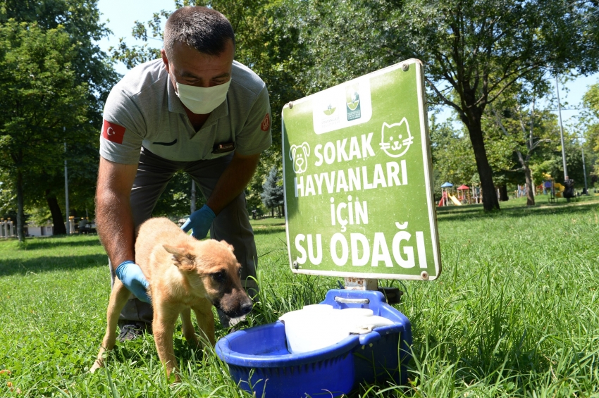 Osmangazi’den can dostlara yardım eli