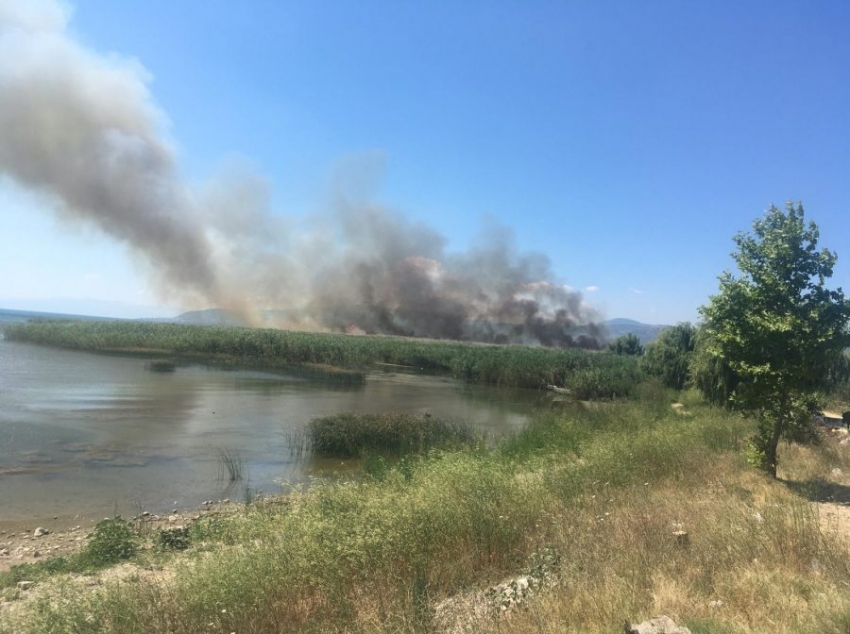 İznik'teki yangın büyüyor