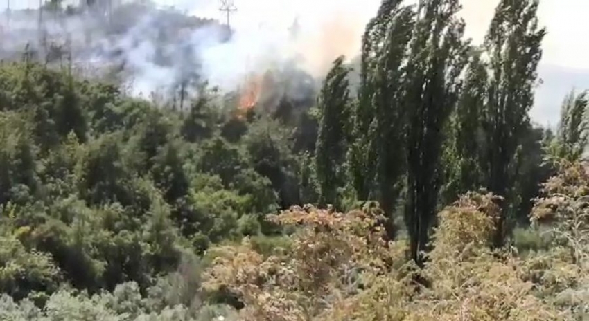 Bursa'da ormanlık alanda yangın!