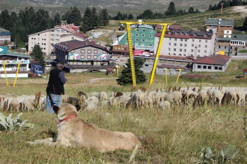 Uludağ'daki kayak pistleri onlara kaldı