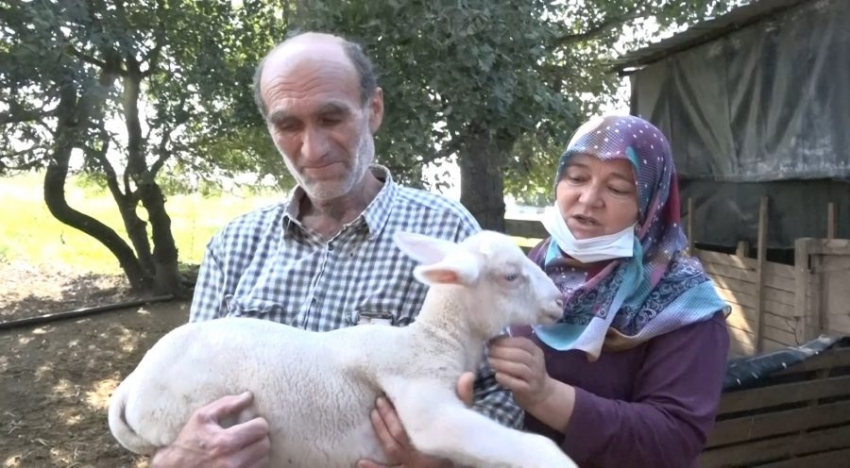 Bursa'da tek tek ölüyorlar