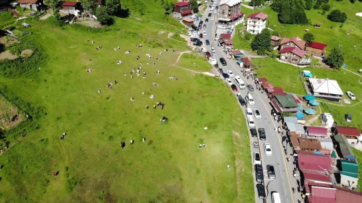 Ayder Yaylası’nı Kurban Bayramı tatili boyunca 100 bine yakın turist ziyaret etti
