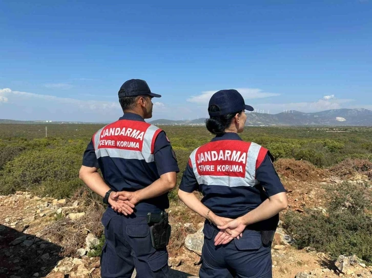 Aydın’da jandarma ekiplerinden Bafa Gölü’ndeki kuş ve balık türlerini korumak için yoğun denetim
