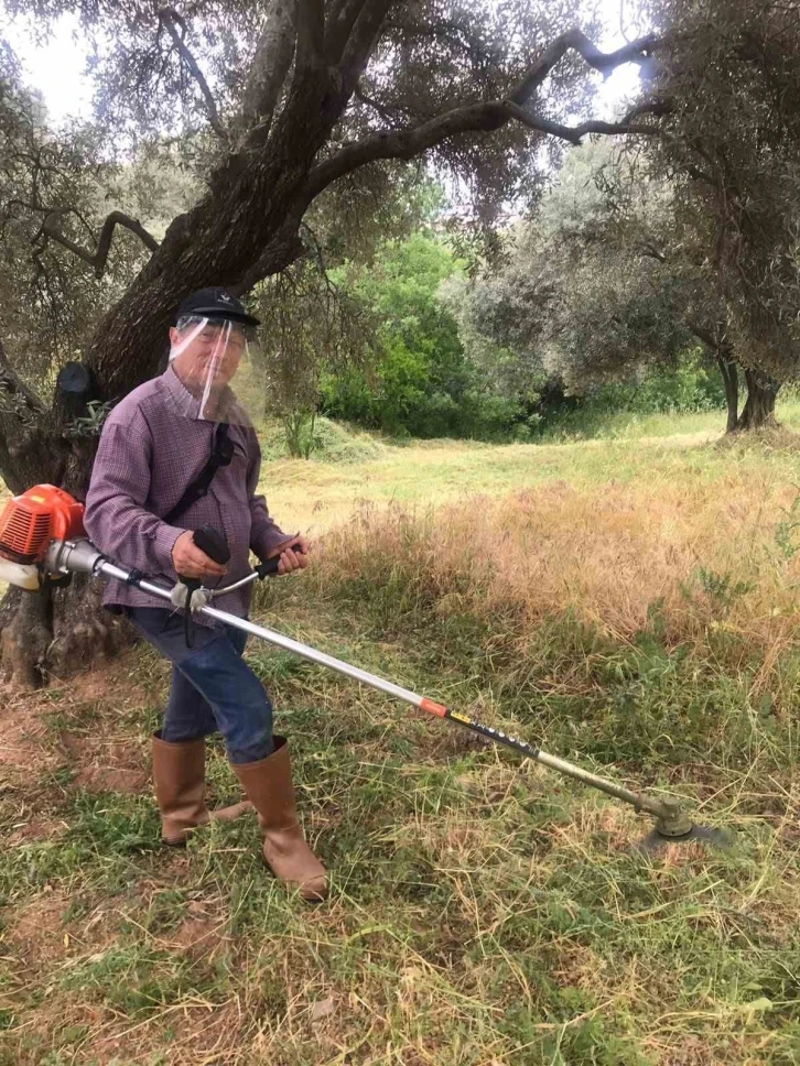 Aydın’da kuru otlar temizleniyor
