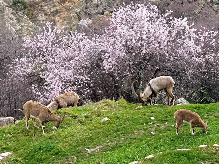 Aynı il iki farklı mevsim
