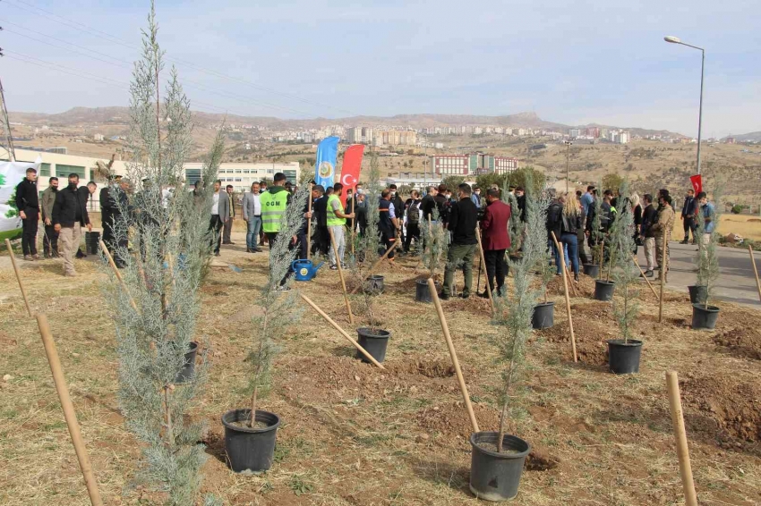 56 bin fidan toprakla buluştu