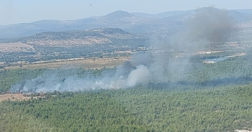 Ormanlık alanda çıkan yangın kontrol altına alındı