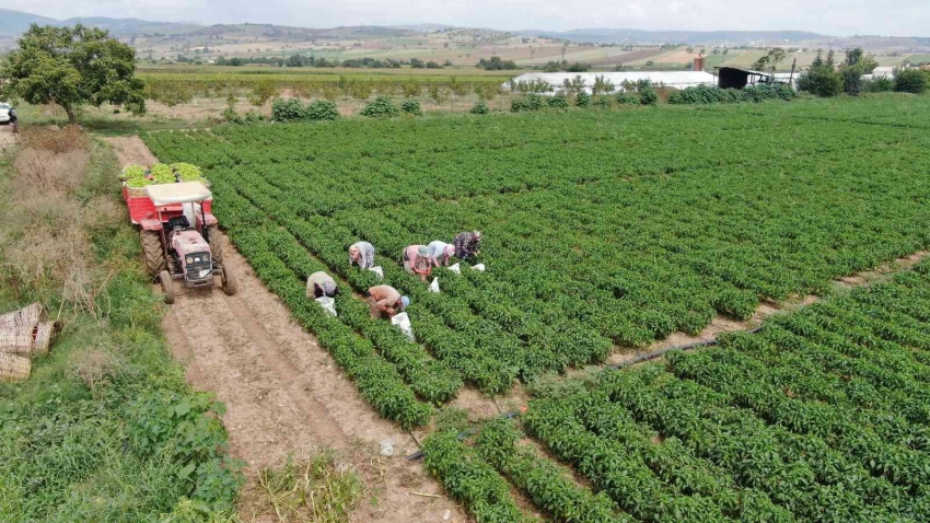 Bursa’da çiftçi ürettiğini komisyonsuz tüketiciye ulaştırıyor