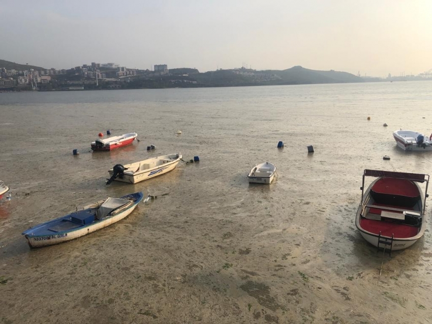 Gemlik Sahilini gören şaşkına dönüyor