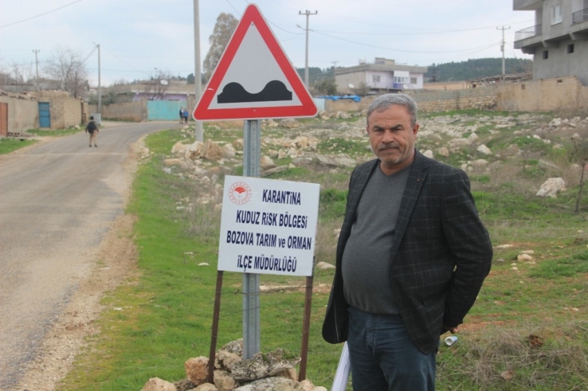 Şanlıurfa’da kuduz paniği