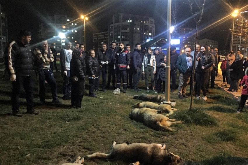 Büyükşehir Belediyesi soruşturmaya müdahil oldu