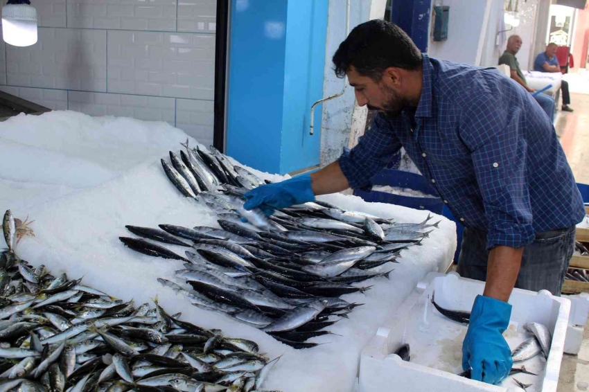 Karadeniz’de su sıcaklığı normalin üzerinde, balıkçılar umduğu gibi avlanamadı