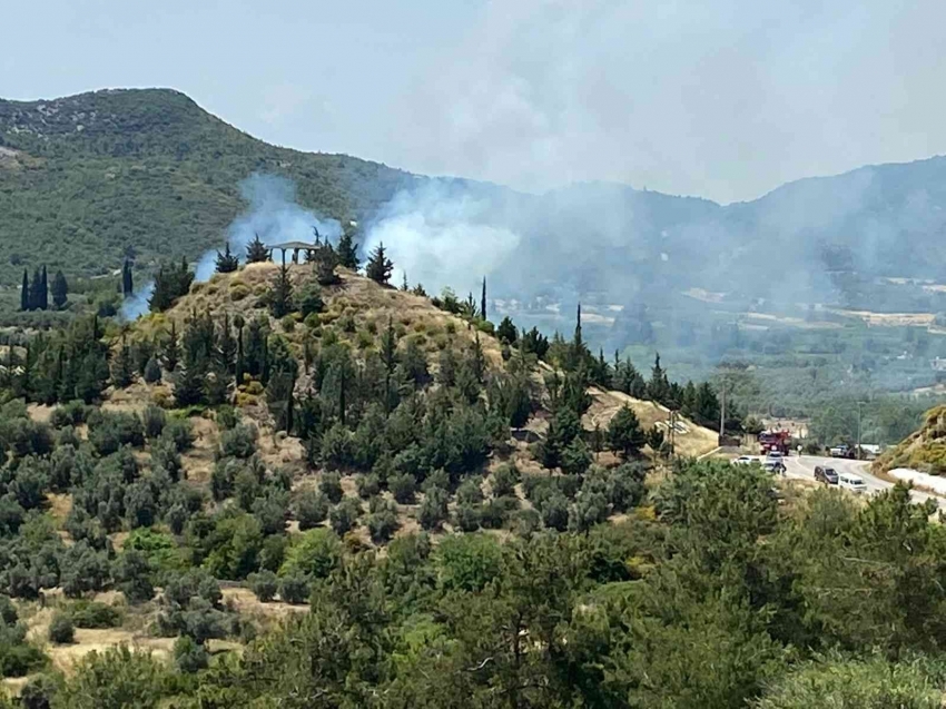 Orman yangını büyümeden söndürüldü