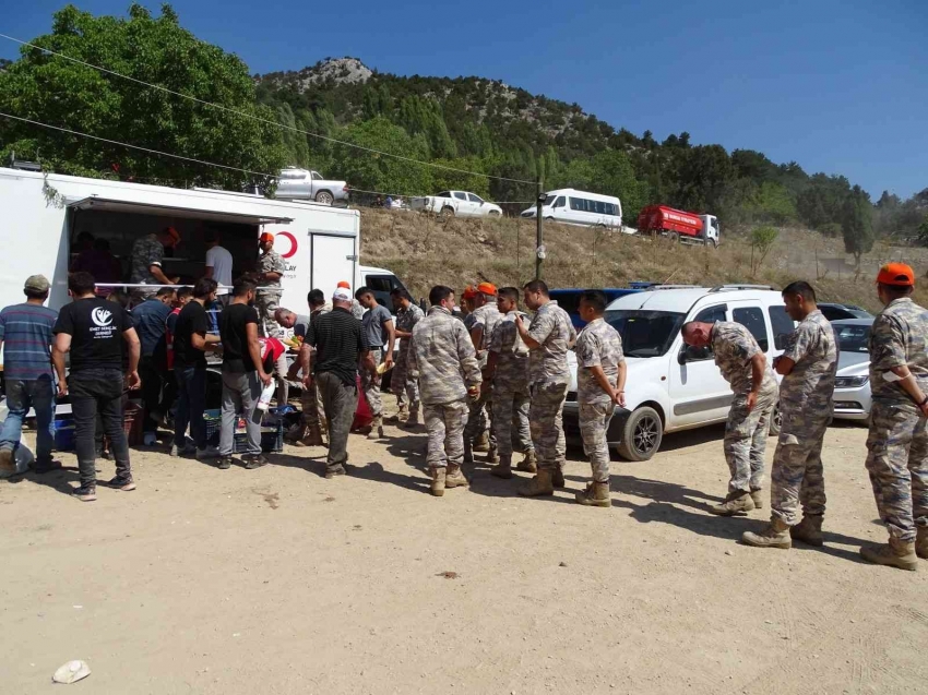 Vali Çelik: En kısa zamanda yanan alanı tekrar yeşillendireceğiz