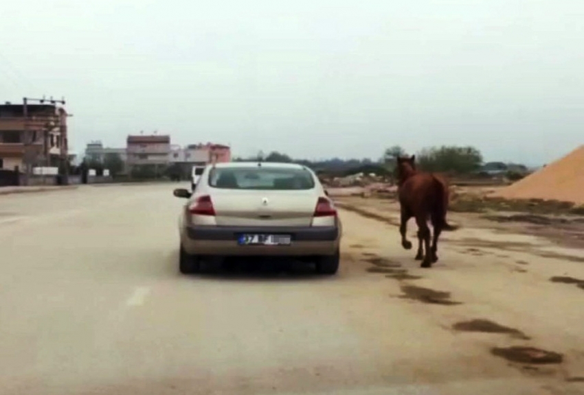 Bursa'da vicdansızlık böyle görüntülendi!