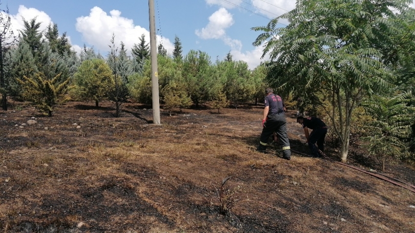 Bir kıvılcım ormanı yaktı