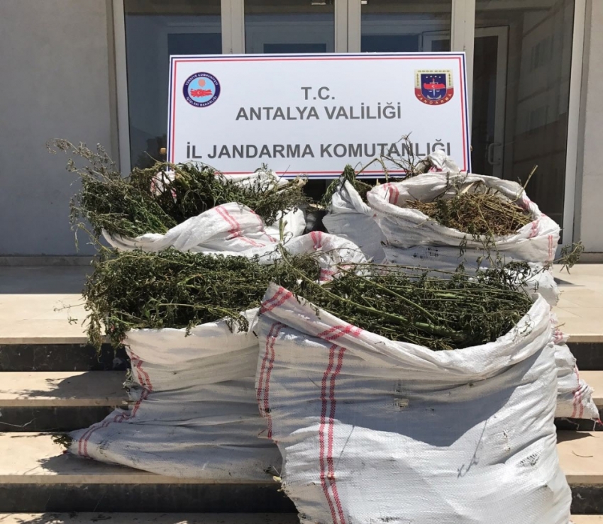 Antalya’DA 68,5 kilo uyuşturucu ele geçirildi