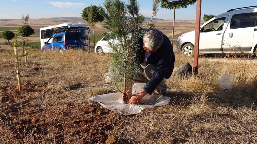 Bulduğu yöntemle bozkırda diktiği tüm fidanların tutunmasını sağladı