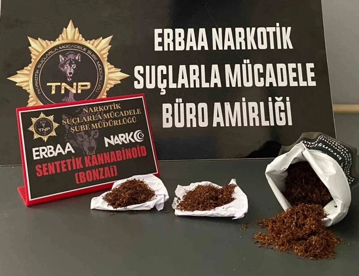 Baca deliğinden bonzai çıktı
