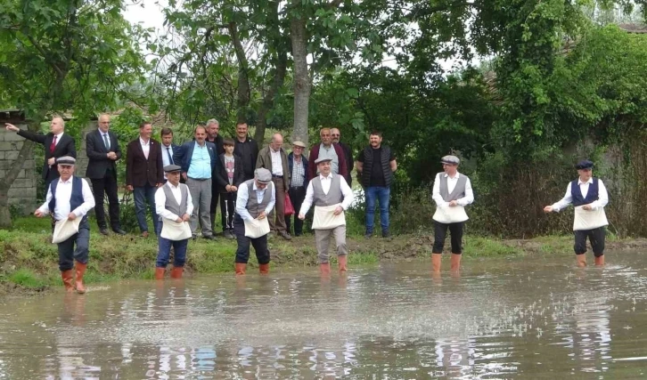 Bafra Ovası’nda çeltik tohumları toprakla buluşuyor
