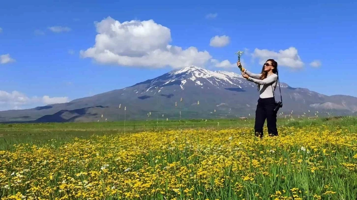 Bahar çiçekleriyle renklenen Sütey Yaylası ve Süphan Dağı hayranlık uyandırıyor