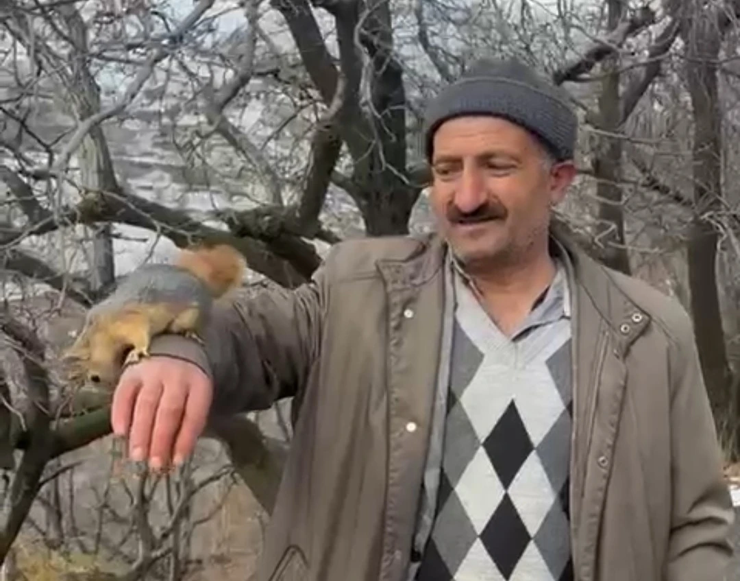 Bahçesaray’ın sevimli sincabı ilgi odağı oldu
