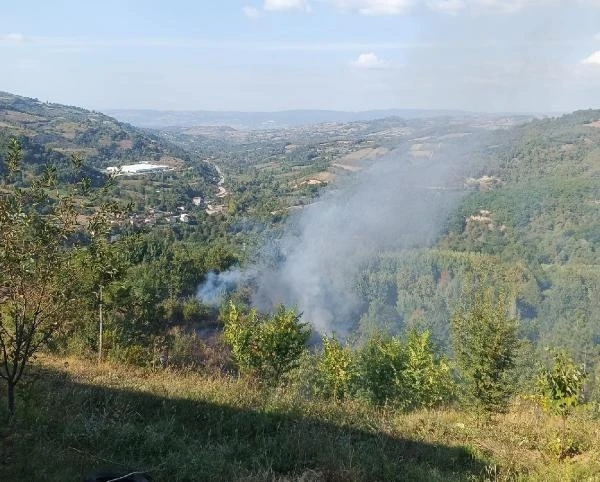 İnegöl'de bahçesindeki otları temizlerken, çıkan yangında hayatını kaybetti