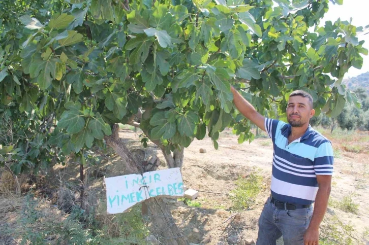 Bahçesine öyle bir not astı ki, gören şaşırdı kaldı
