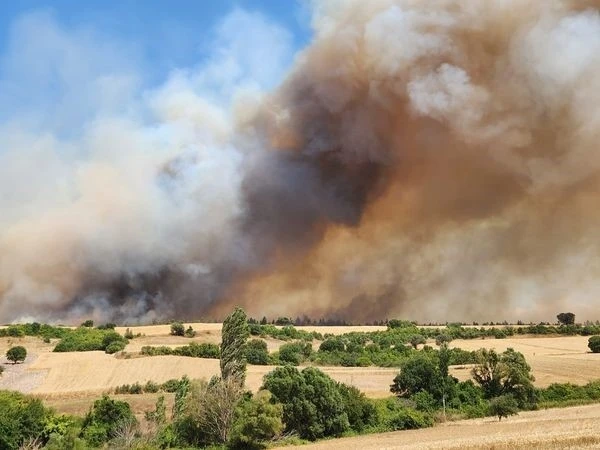 Balıkesir’de çıkan yangınla ilgili 3 gözaltı
