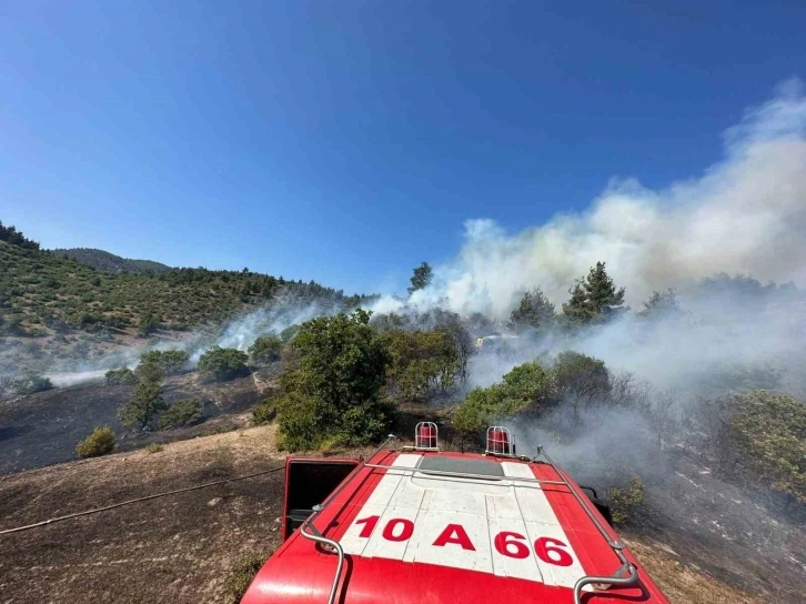 Balıkesir ile Kütahya arasındaki ormanlık alanda yangın
