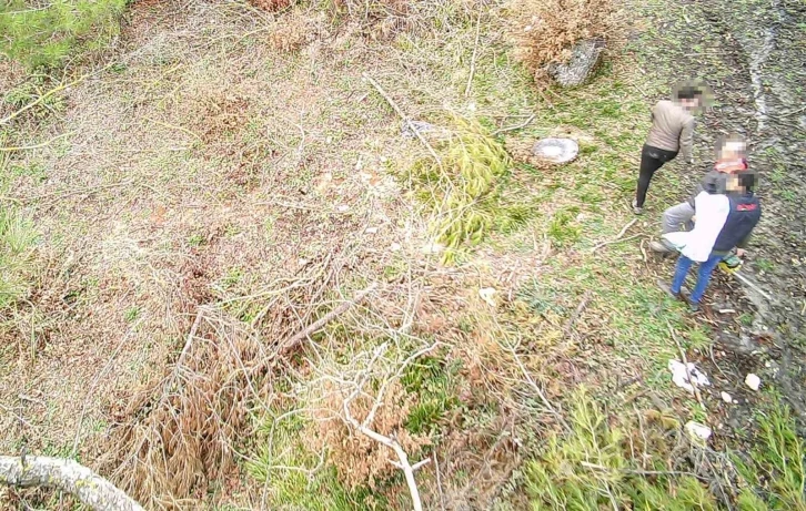 Balıkesir ormanları foto kapanlarla korunuyor
