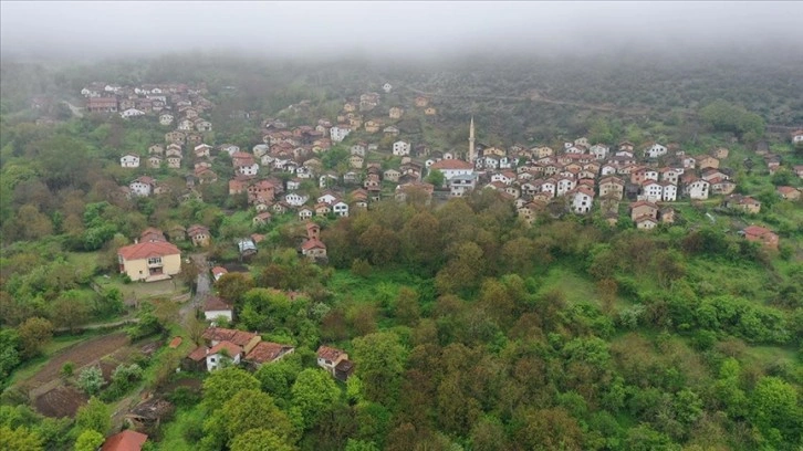 Balıkesir'den Bursa'ya taşınacak Karyağmaz'da son kez sandık kurulacak