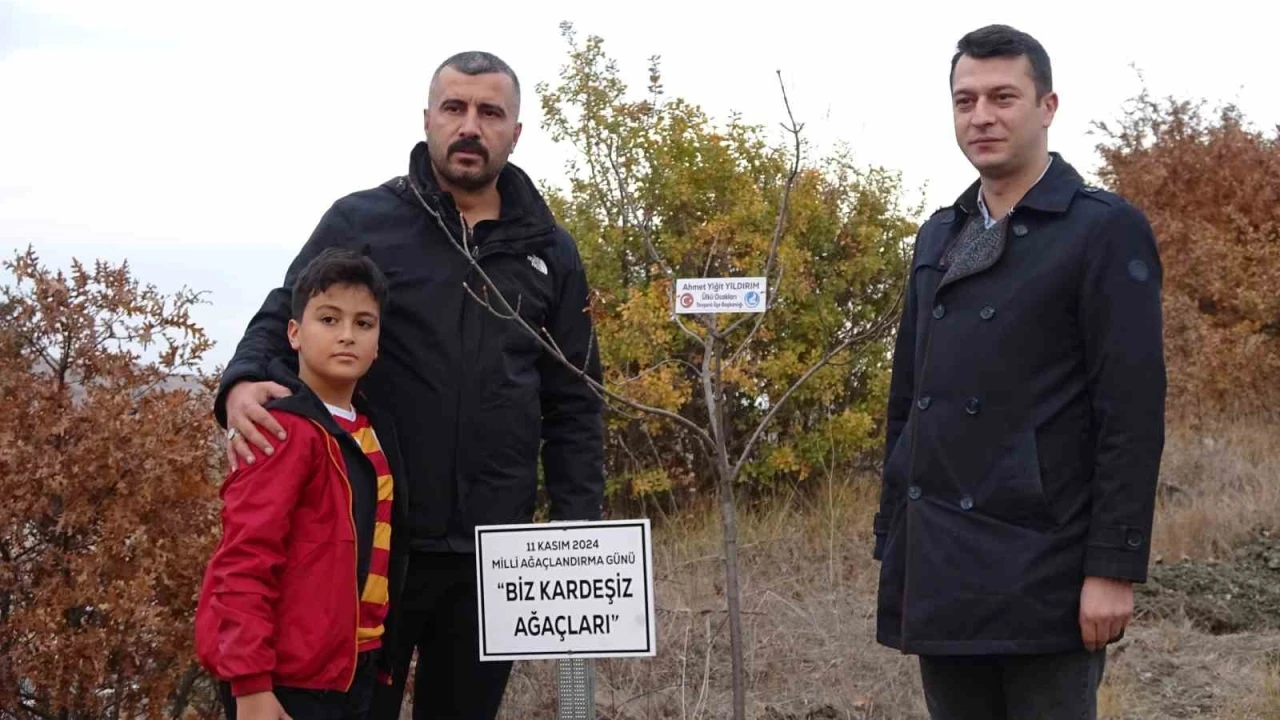 Başbuğ Alparslan Türkeş hatıra ormanına çınar fidanı diktiler
