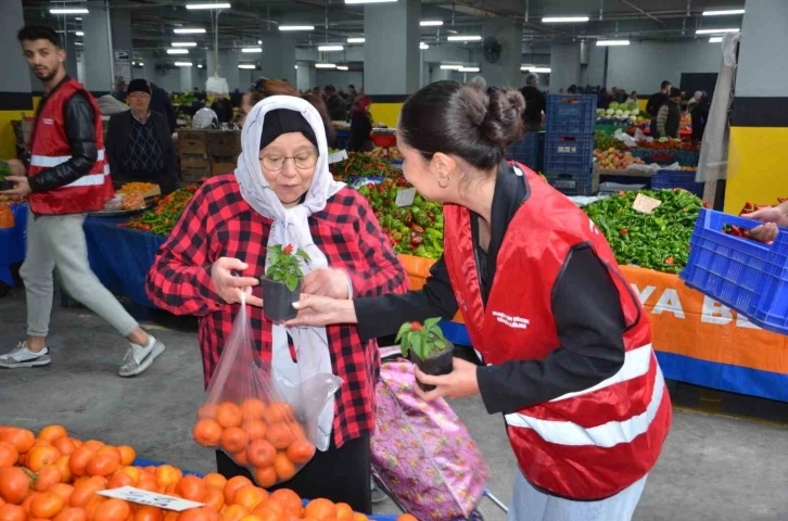 Başkan Böcek’ten, Alanyalı kadınlara aşk çiçeği hediyesi
