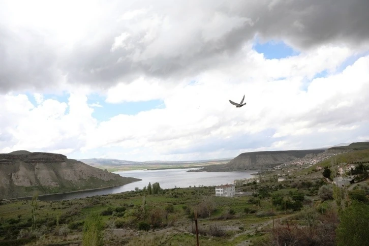 Başkan Çolakbayrakdar; “Dünya’da, termal turizmin yeni adresi Bayramhacı olacak”
