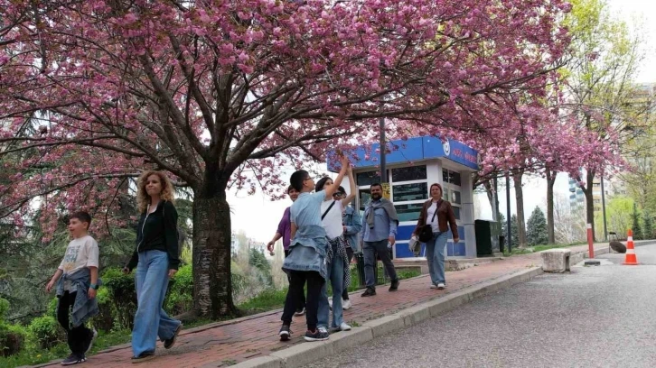 Başkentin parklarına vatandaşlardan yoğun ilgi
