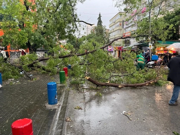 Başkentte fırtına ağaçları devirdi, yol kapandı