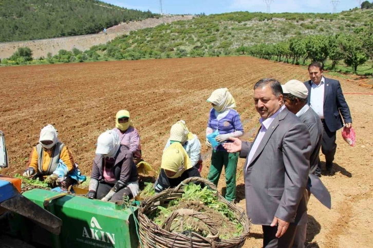 Baştuğ’dan ‘Çiftçiler Günü’ mesajı
